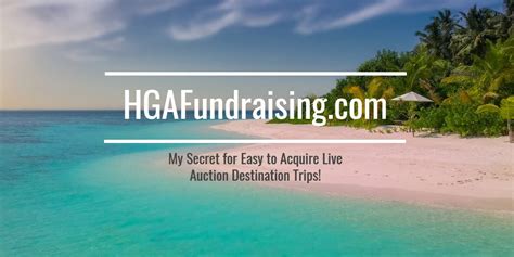 vacation packages for fundraising auction.
